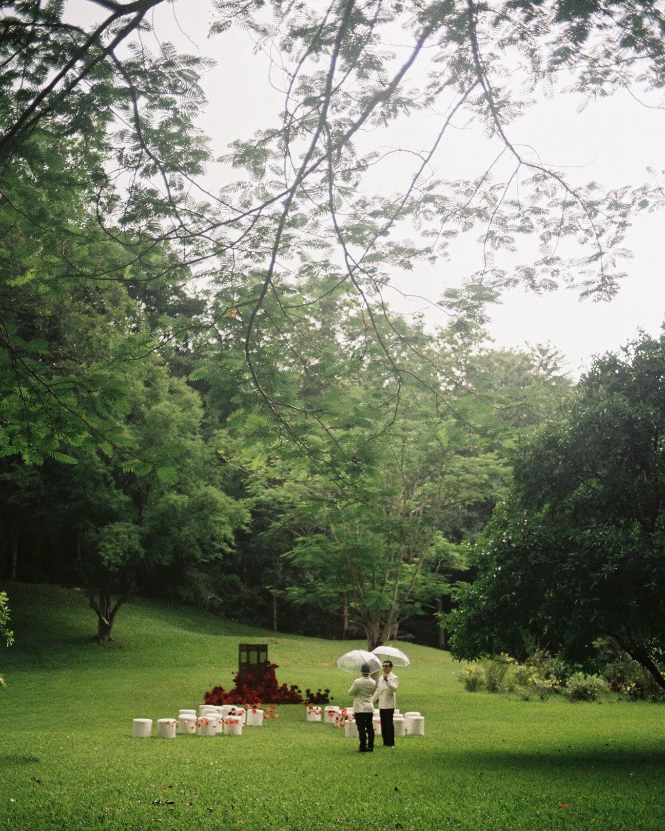 Outdoor ceremony aisle on the lawn